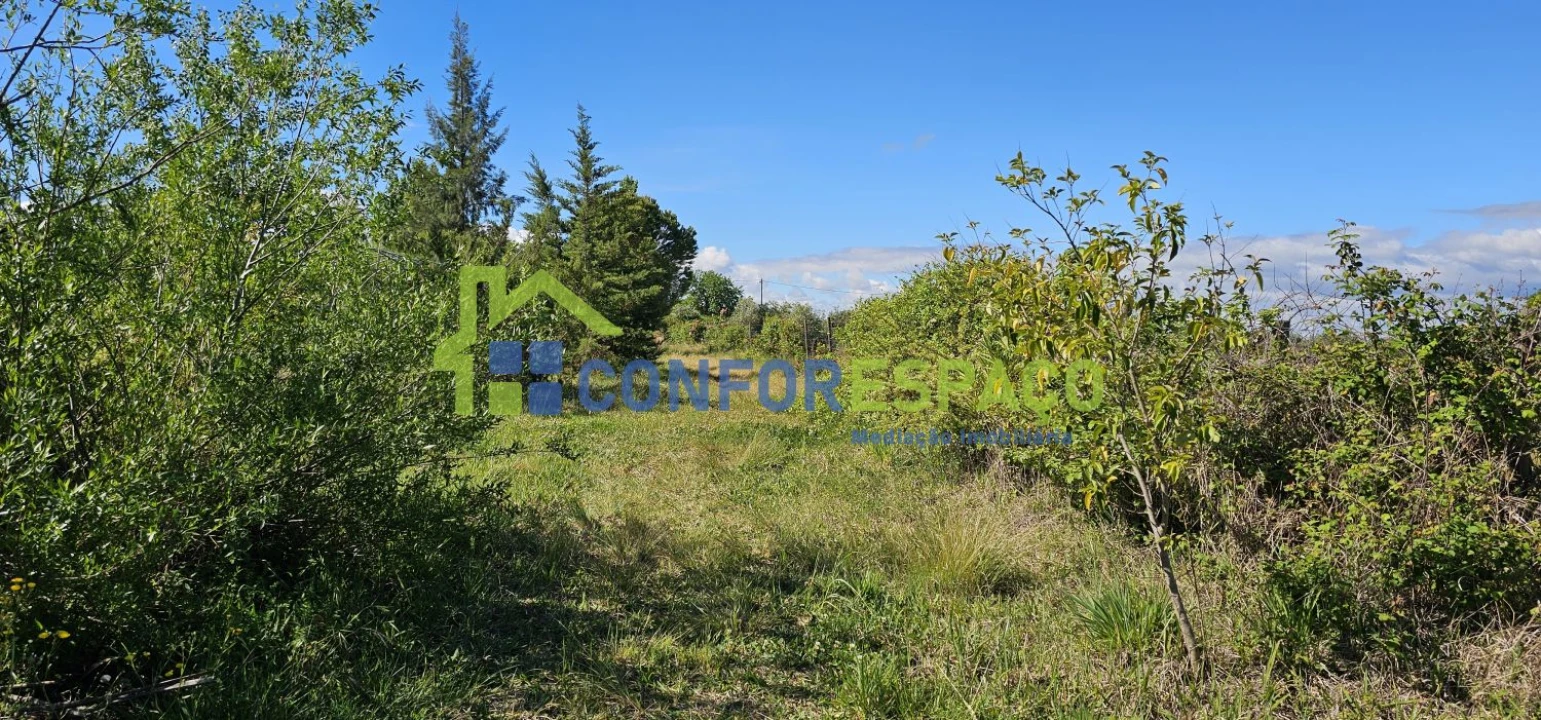 Quinta T2 para Venda em Ladoeiro Foto 69