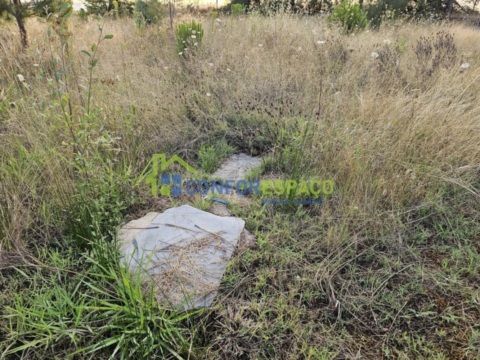 Quinta T2 para Venda em Ladoeiro Foto 28