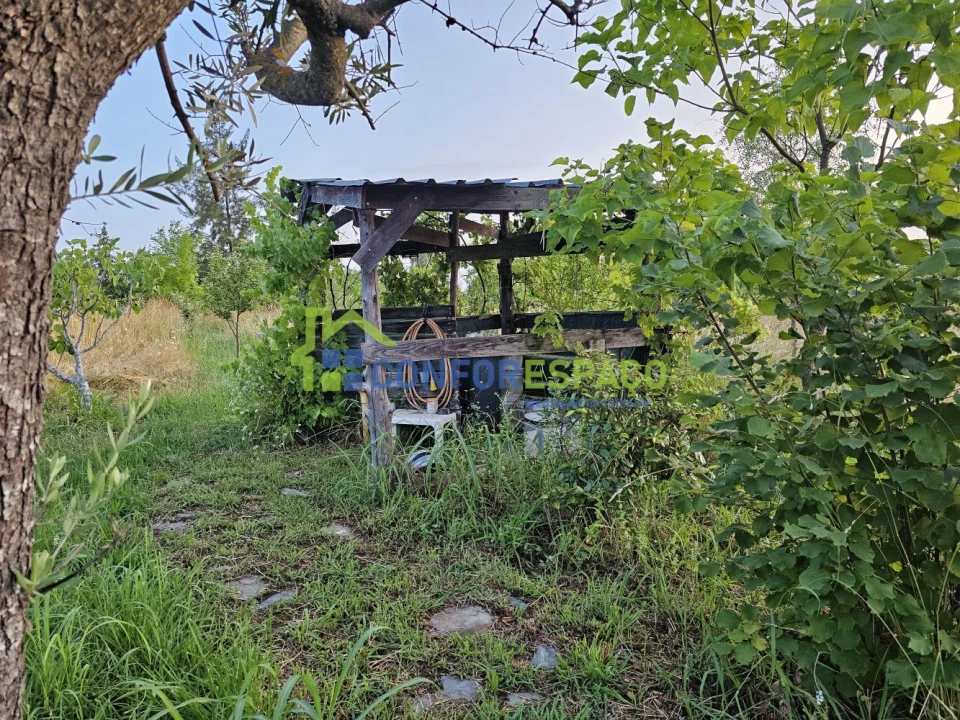 Quinta T2 para Venda em Ladoeiro Foto 41