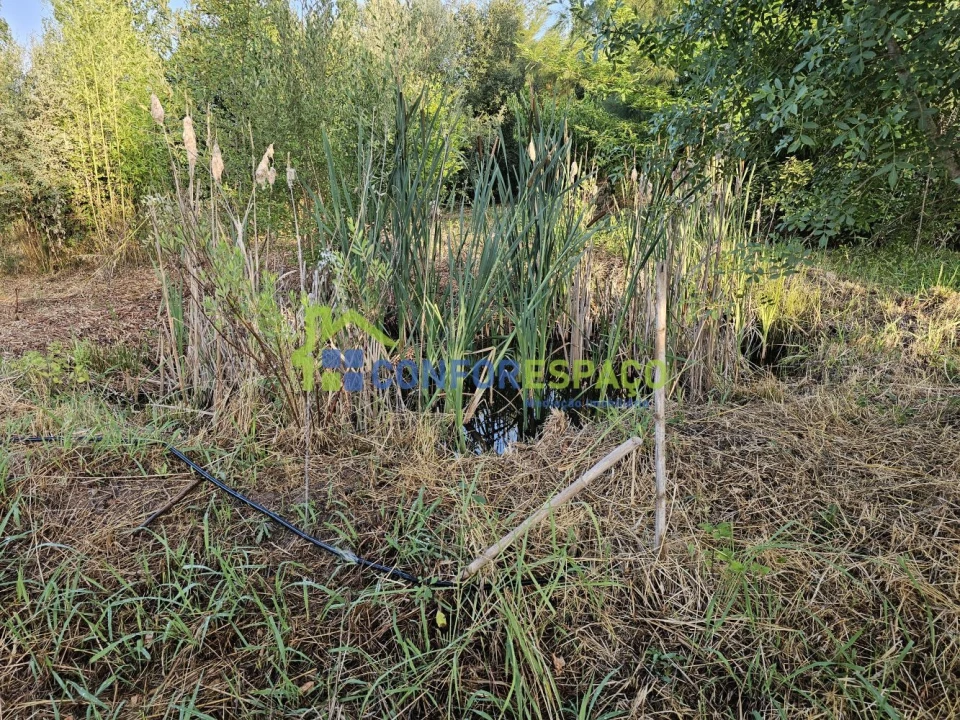 Quinta T2 para Venda em Ladoeiro Foto 19