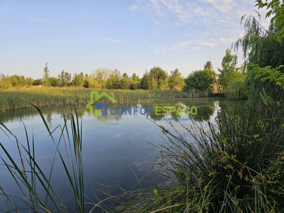 Quinta T2 para Venda em Ladoeiro Foto 24