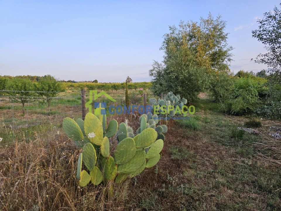 Quinta T2 para Venda em Ladoeiro Foto 30