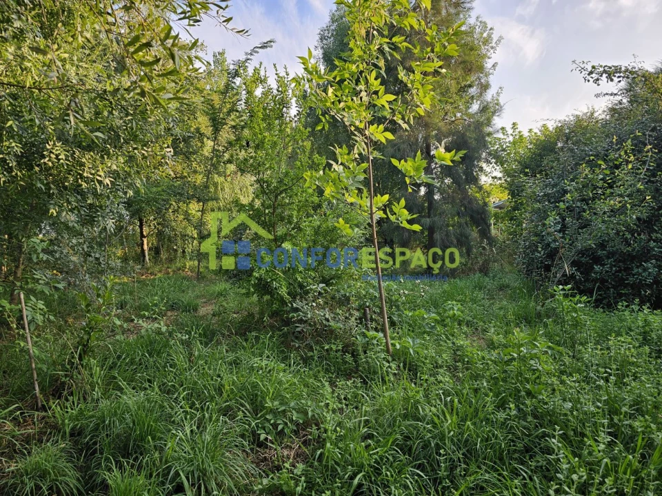 Quinta T2 para Venda em Ladoeiro Foto 12