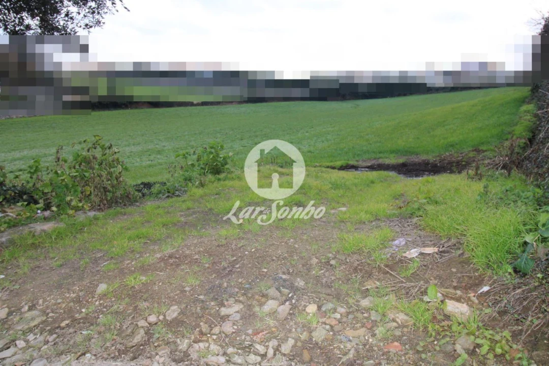 Terreno para Venda em Balazar Foto 3