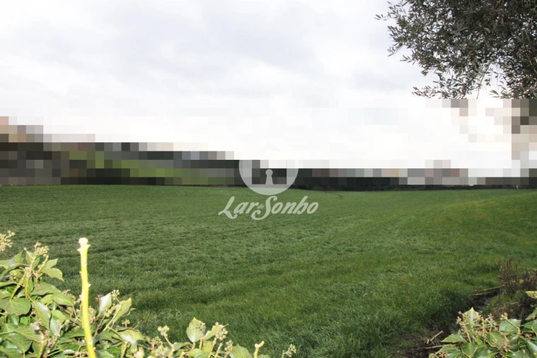 Terreno para Venda em Balazar Foto 4