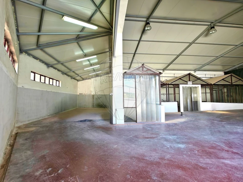 Armazém para Venda em Carvoeira e Carmões Foto 4