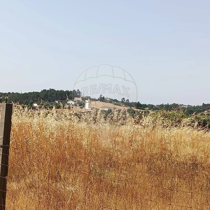 Terreno para Venda em Cartaxo e Vale da Pinta Foto 3