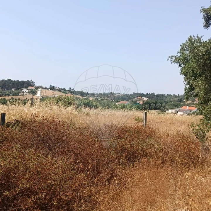 Terreno para Venda em Cartaxo e Vale da Pinta Foto 2