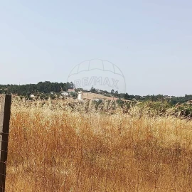 Terreno para Venda em Cartaxo e Vale da Pinta
