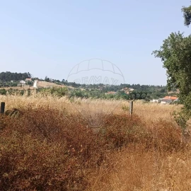 Terreno para Venda em Cartaxo e Vale da Pinta
