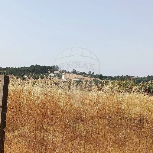 Terreno para Venda em Cartaxo e Vale da Pinta Foto 3