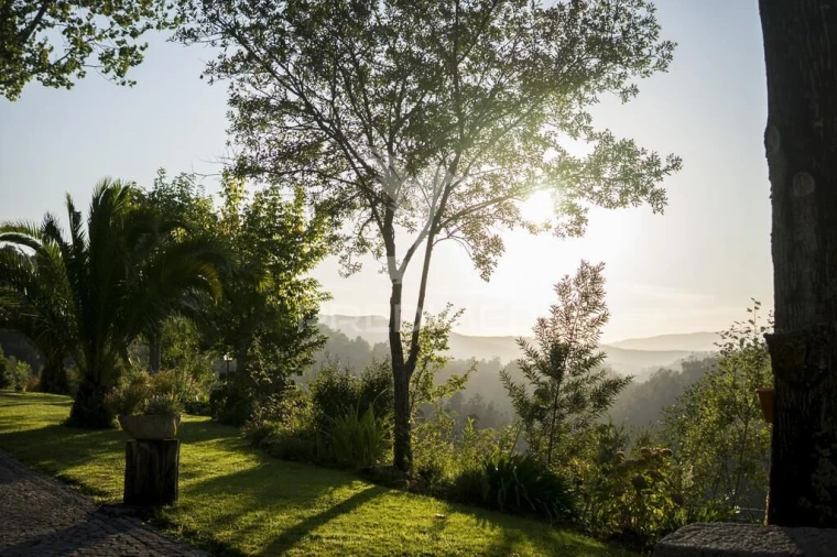 Quinta T5 para Venda em Oliveira de Frades, Souto de Lafões e Sejães Foto 16