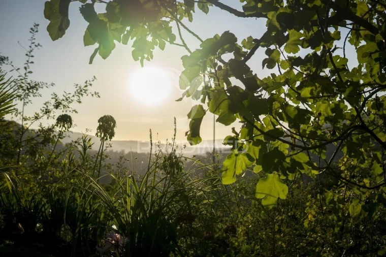 Quinta T5 para Venda em Oliveira de Frades, Souto de Lafões e Sejães Foto 19