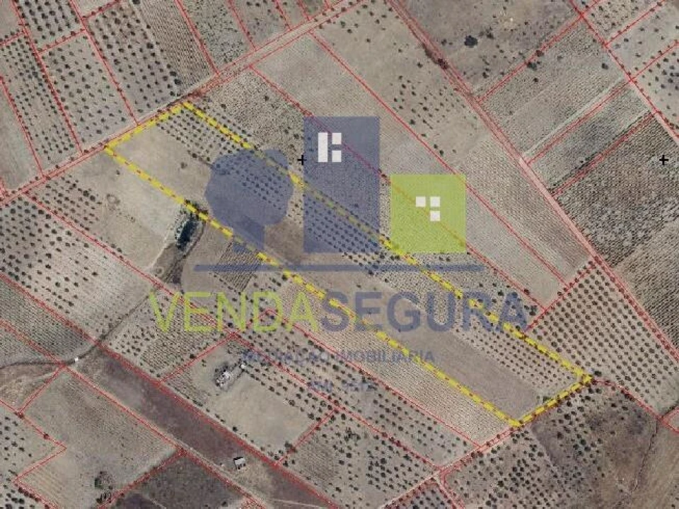 Terreno para Venda em Amareleja Foto 2