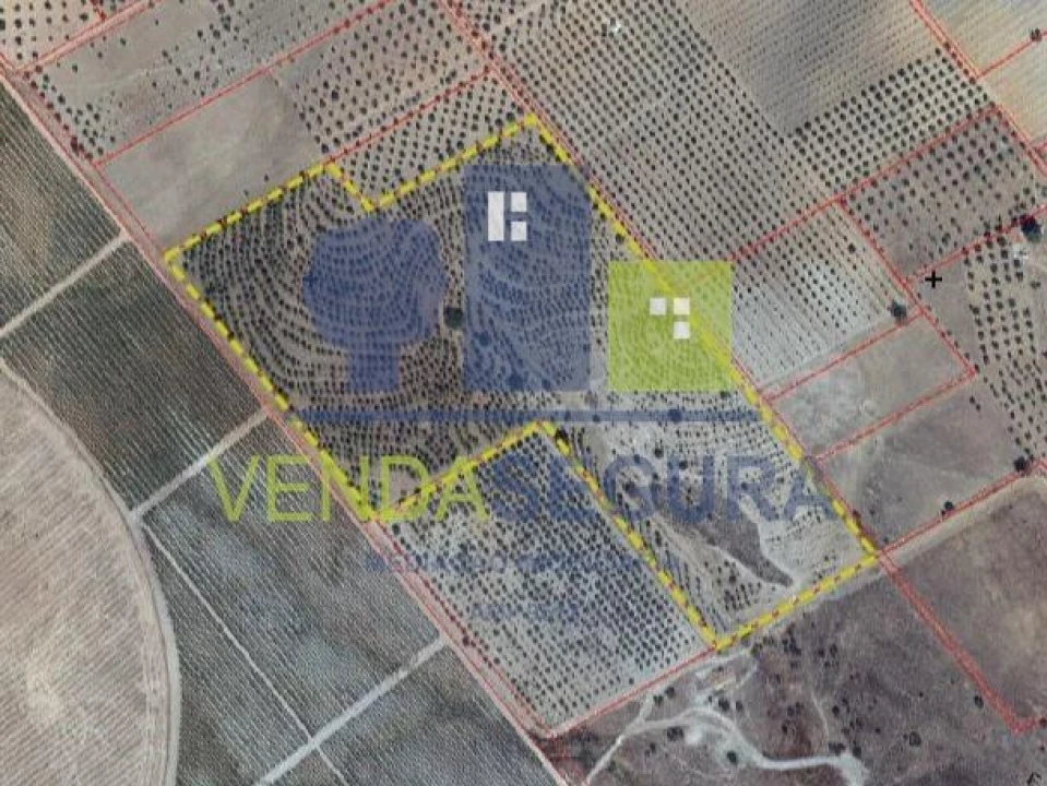 Terreno para Venda em Amareleja Foto 5