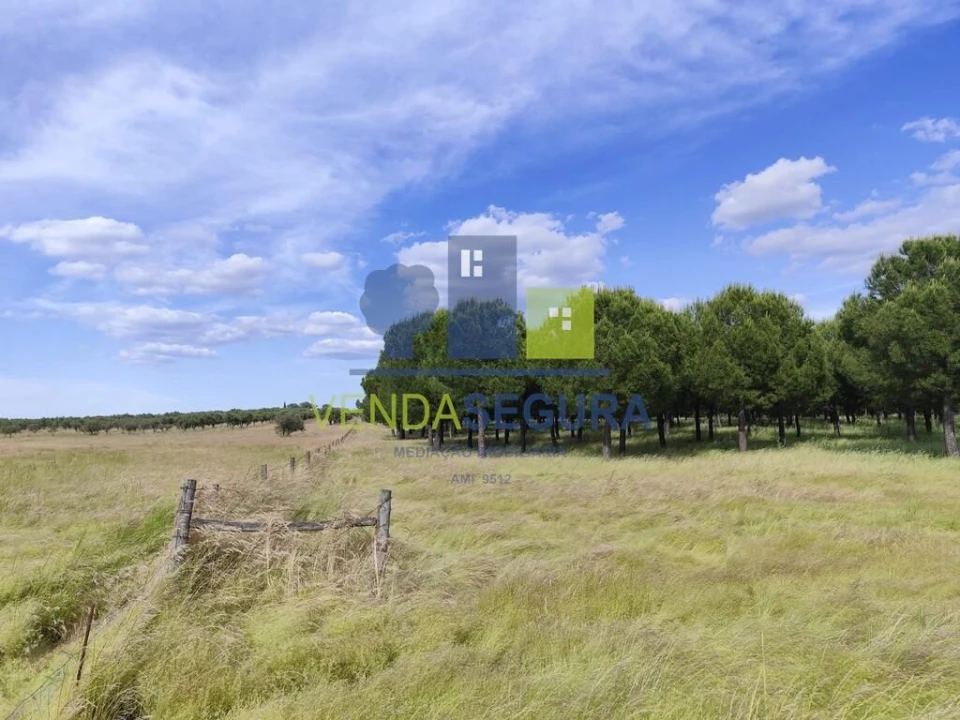 Terreno para Venda em Amareleja Foto 4