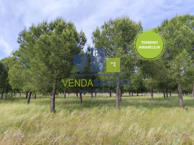 Terreno para Venda em Amareleja Foto 1