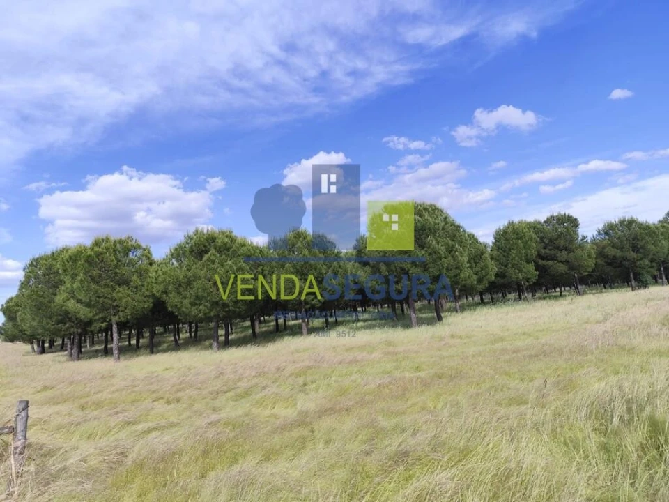 Terreno para Venda em Amareleja Foto 3