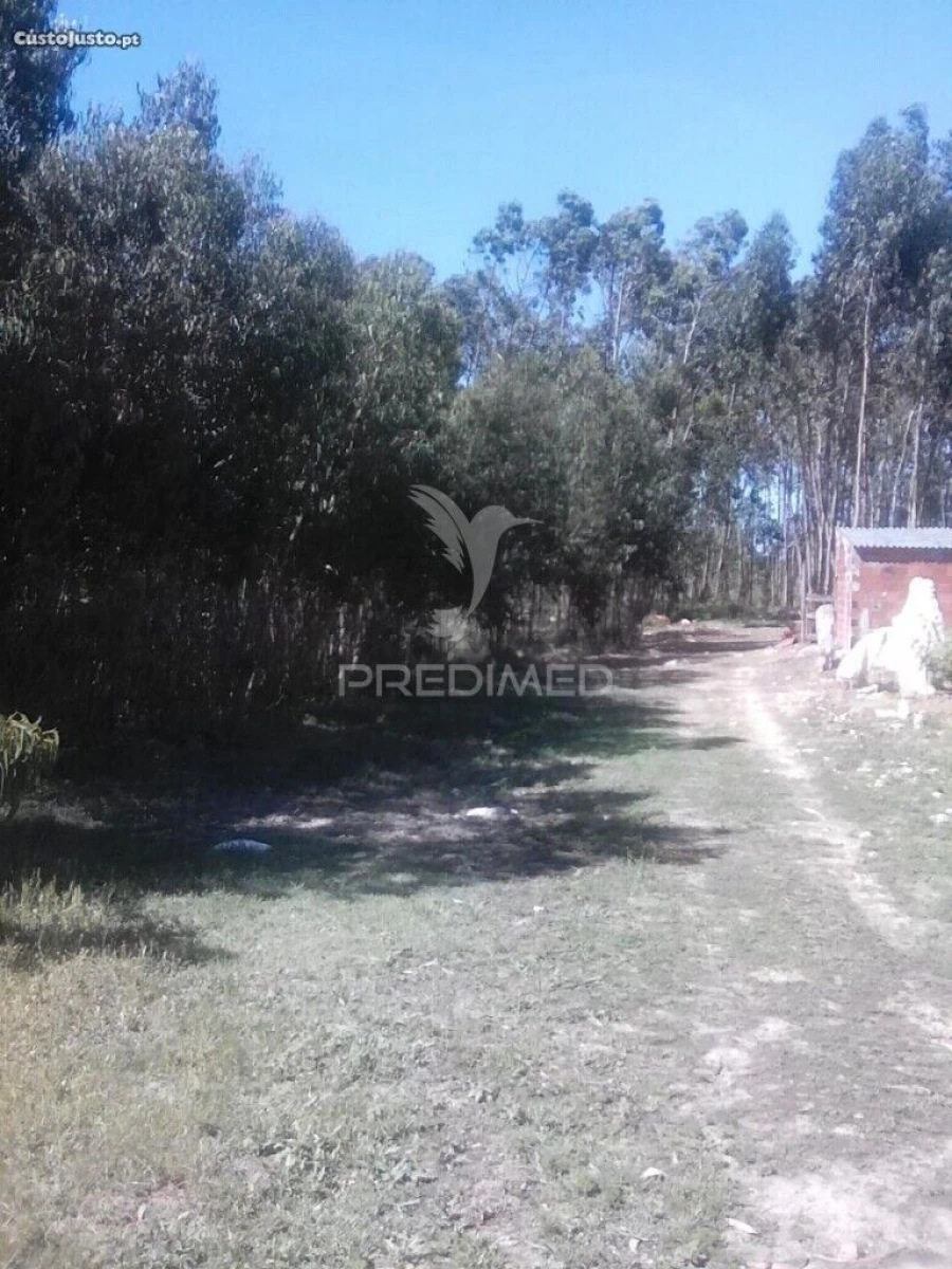 Terreno para Venda em São Bartolomeu dos Galegos e Moledo Foto 2