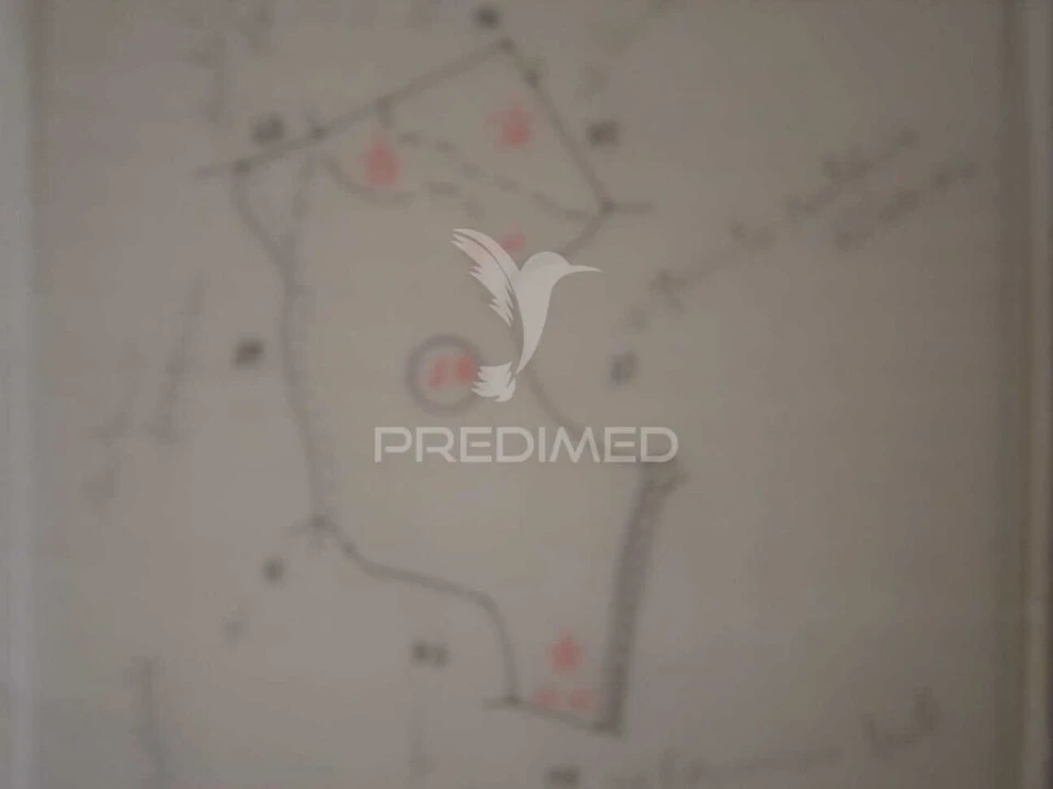 Terreno para Venda em São Bartolomeu dos Galegos e Moledo Foto 7