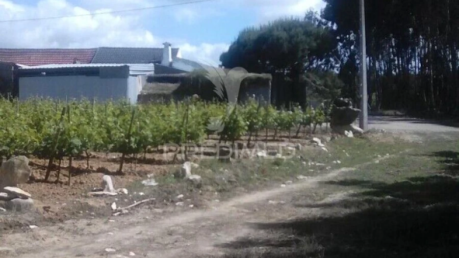 Terreno para Venda em São Bartolomeu dos Galegos e Moledo