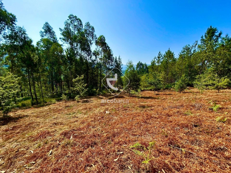 Terreno para Venda em Vale Foto 5