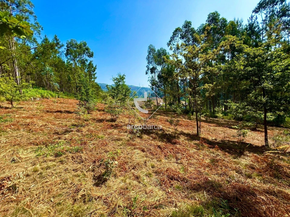 Terreno para Venda em Vale Foto 9