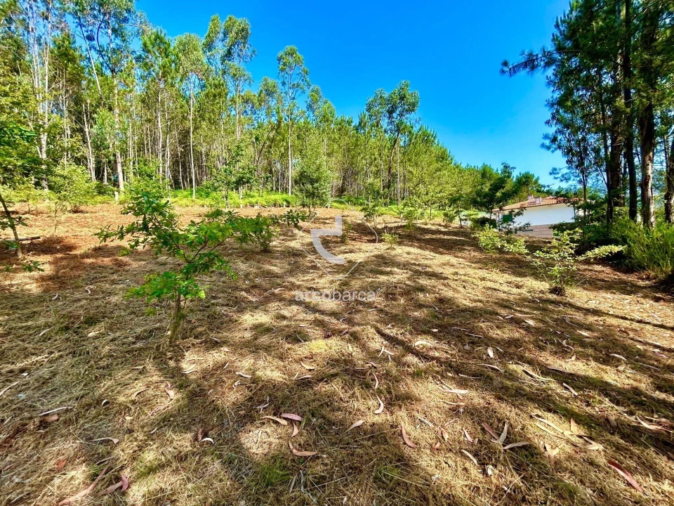 Terreno para Venda em Vale Foto 10