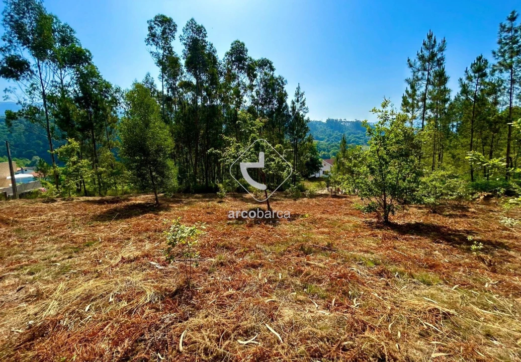 Terreno para Venda em Vale Foto 7