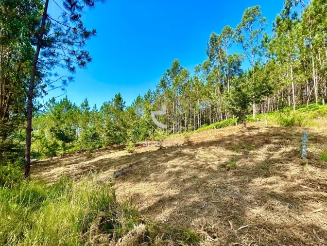 Terreno para Venda em Vale Foto 12