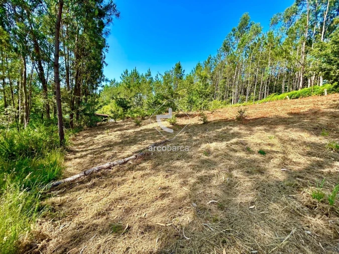 Terreno para Venda em Vale Foto 1