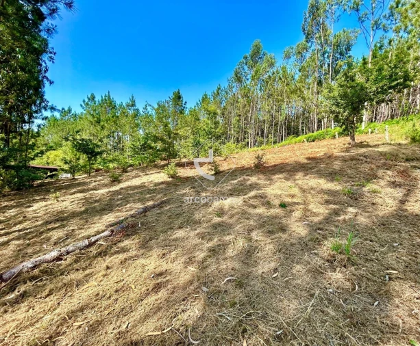 Terreno para Venda em Vale Foto 2