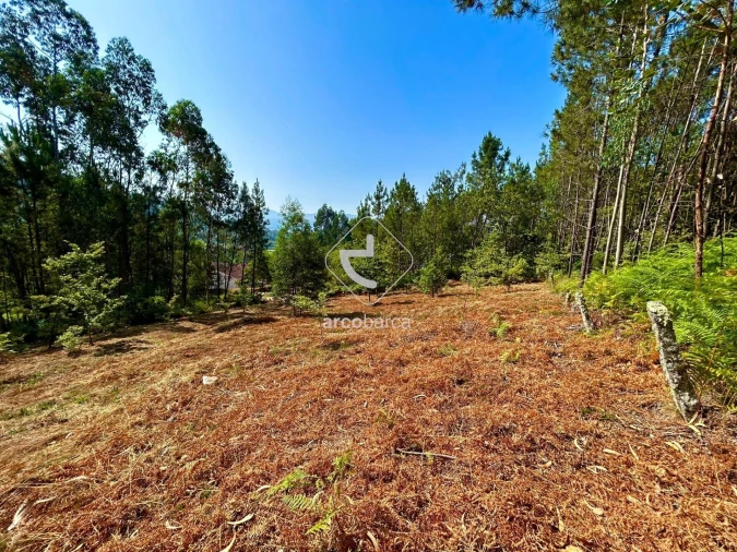 Terreno para Venda em Vale Foto 6