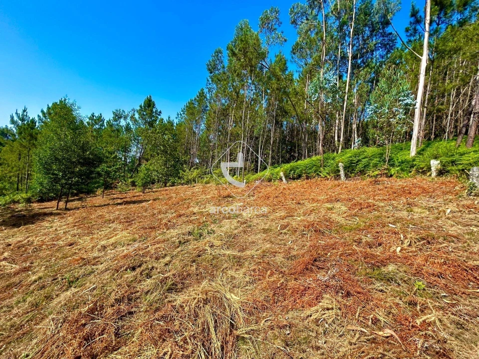 Terreno para Venda em Vale Foto 3
