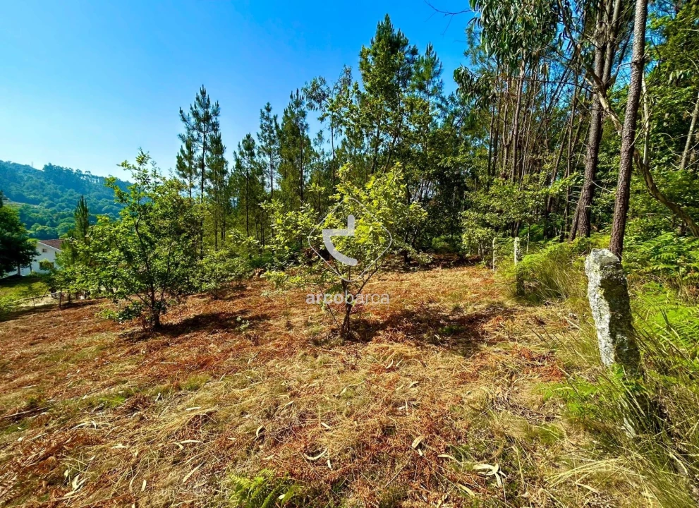 Terreno para Venda em Vale Foto 8