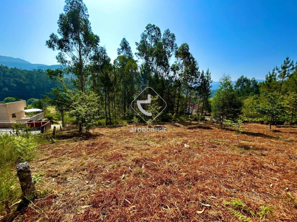 Terreno para Venda em Vale Foto 4