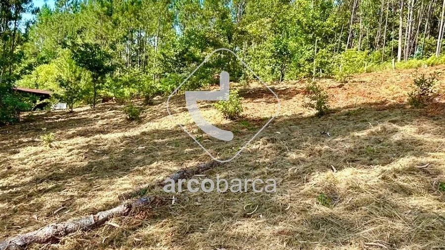 Imagem imóvel