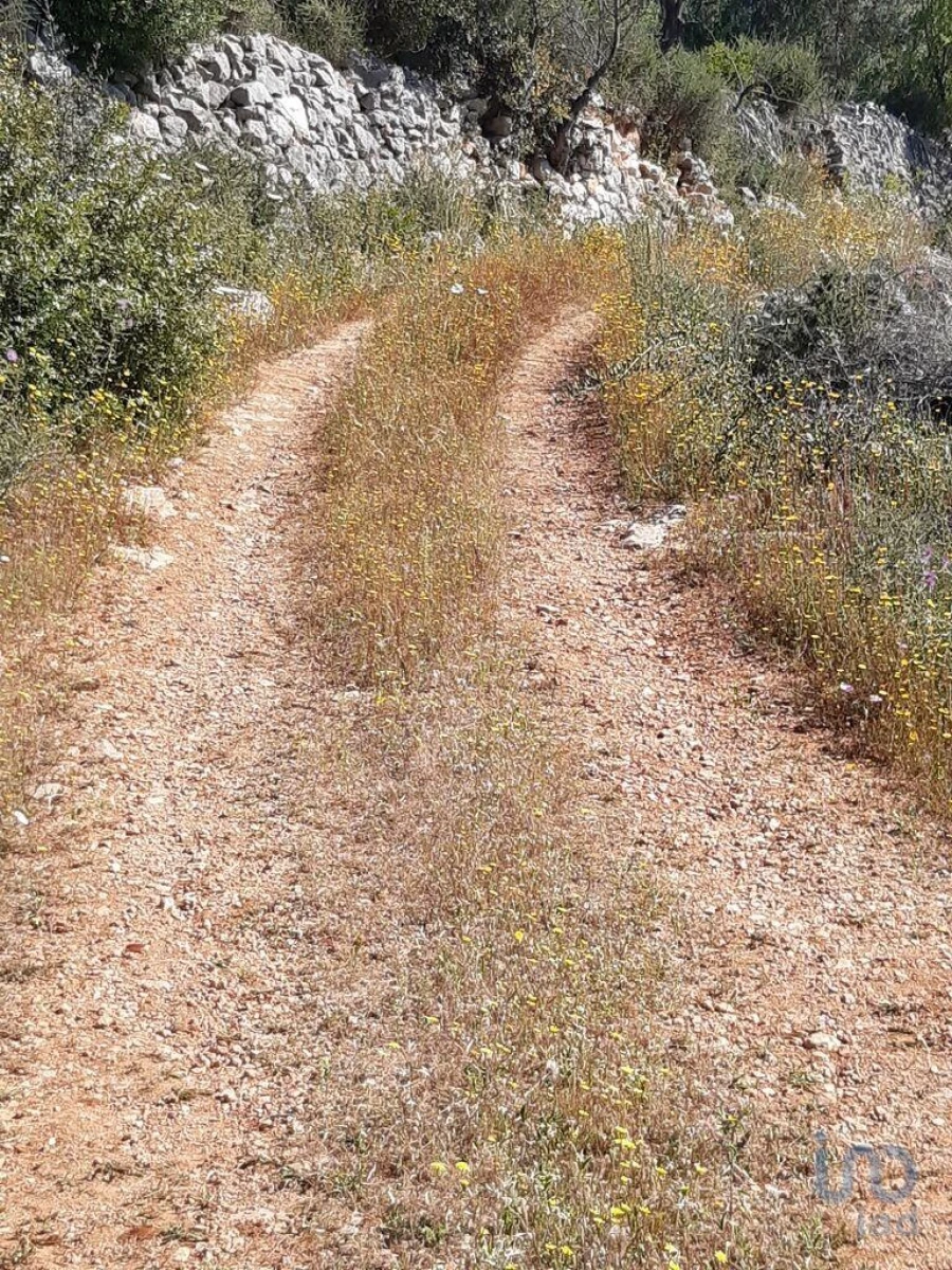 Moradia T4 para Venda em Loule (São Sebastião) Foto 6