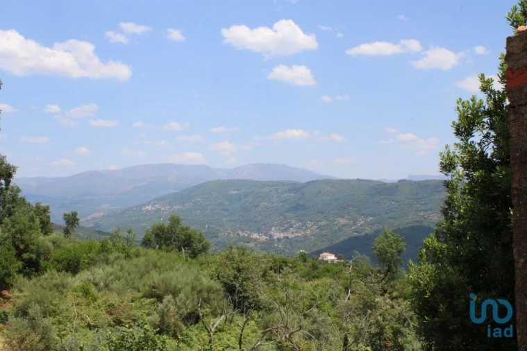 Terreno para Venda em Oliveira do Hospital e São Paio de Gramaços Foto 3