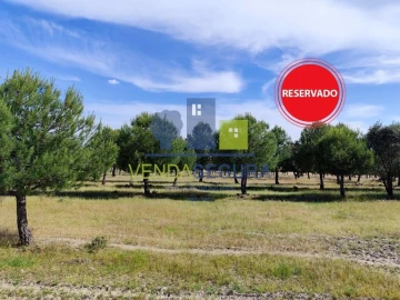 Terreno para Venda em Amareleja
