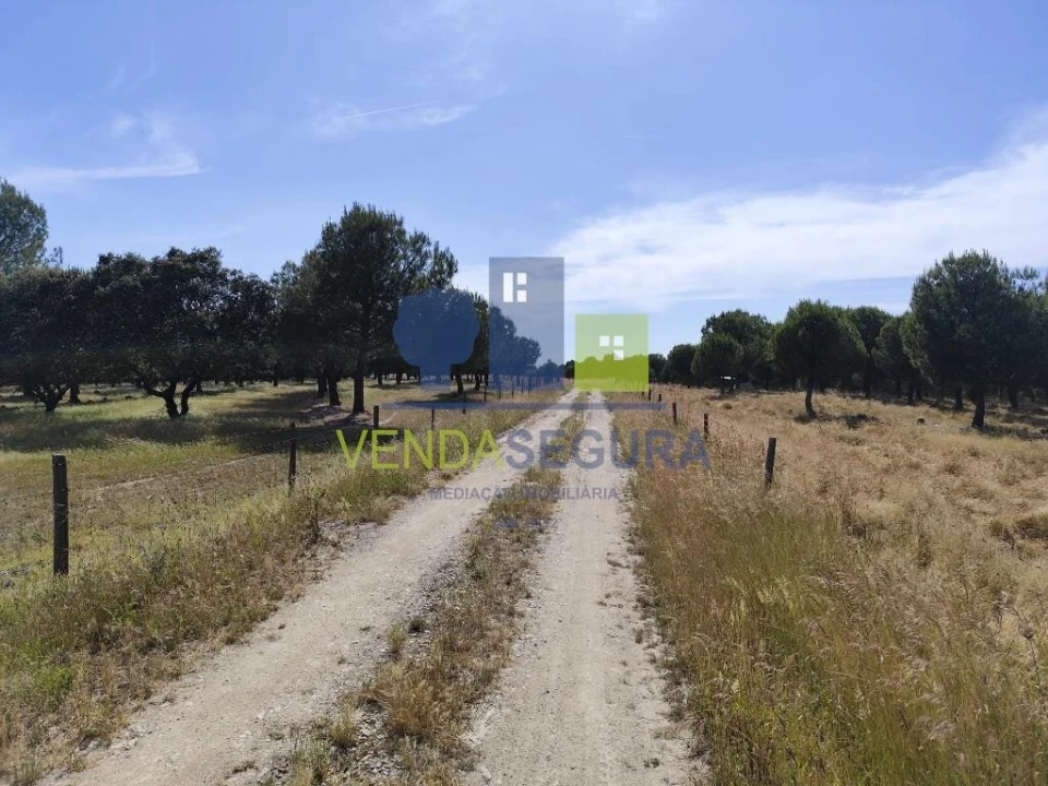 Terreno para Venda em Amareleja Foto 3