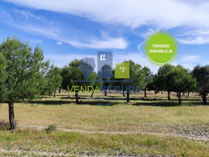 Terreno para Venda em Amareleja Foto 1