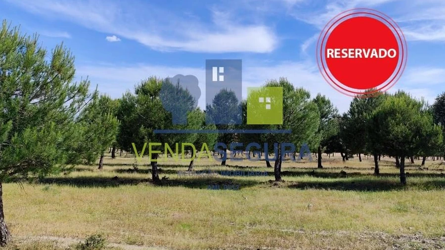 Terreno para Venda em Amareleja