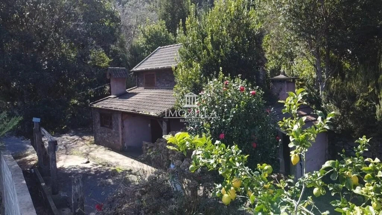 Moradia T2 para Venda em São Vicente Foto 4