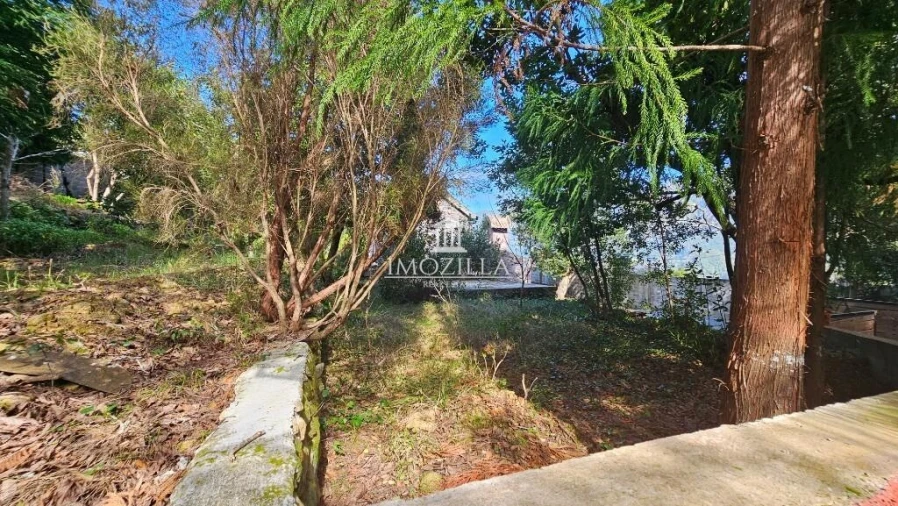 Moradia T2 para Venda em São Vicente Foto 30