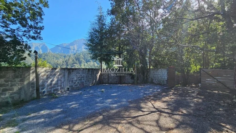 Moradia T2 para Venda em São Vicente Foto 13