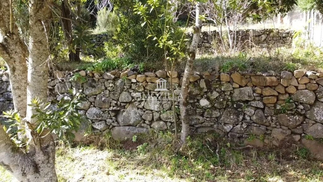 Moradia T2 para Venda em São Vicente Foto 36