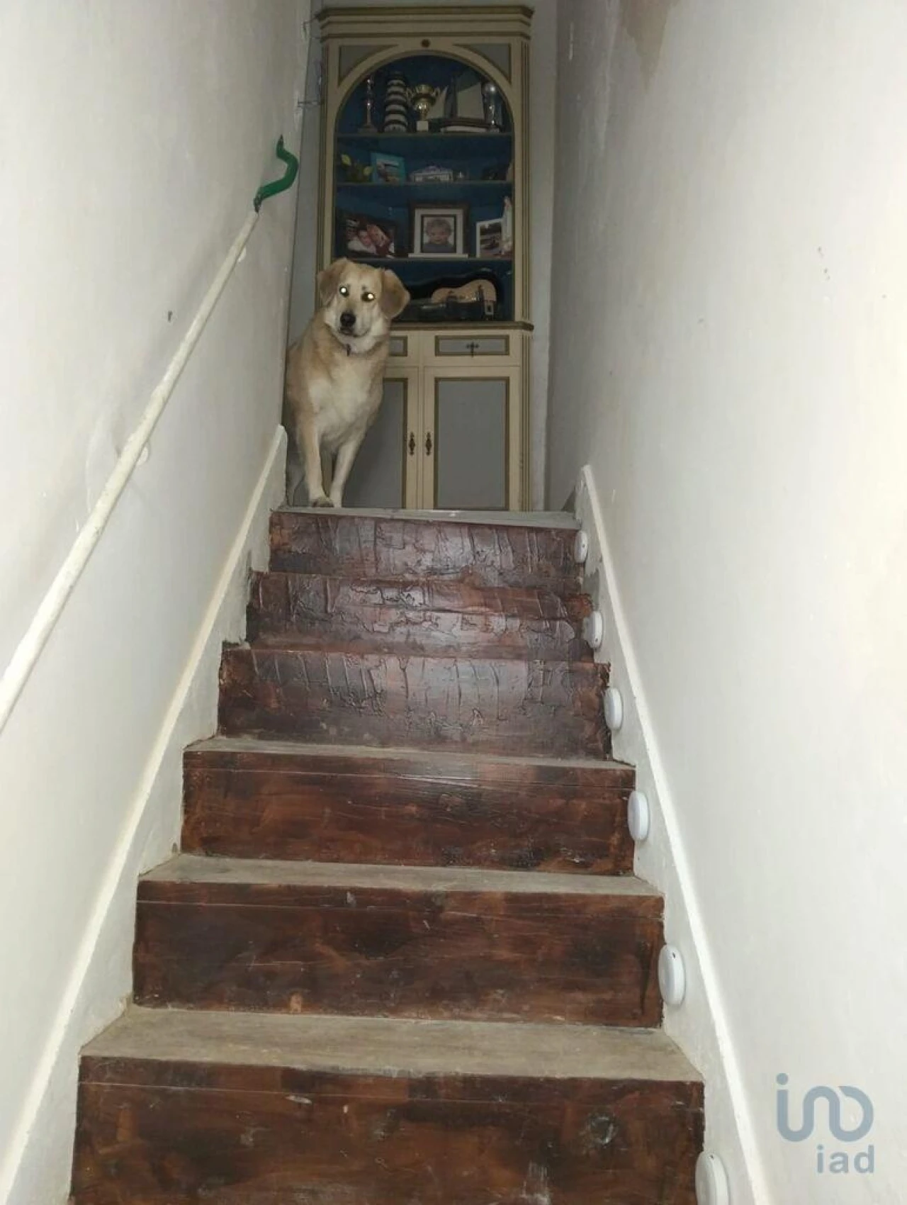 Moradia T3 para Venda em Madalena e Beselga Foto 8