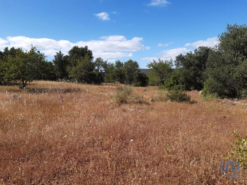 Terreno para Venda em Alte Foto 3