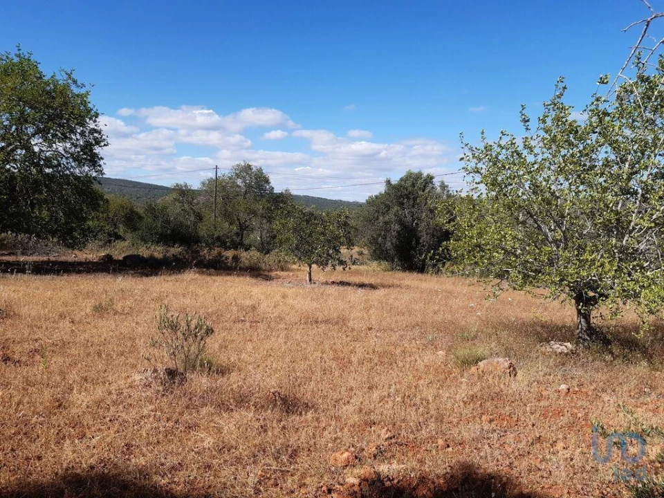 Terreno para Venda em Alte Foto 4